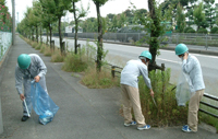 Clean-up Activities