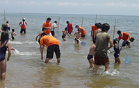 Tateboshi net-fishing