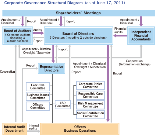 Corporate Governance Structural Diagram (as of June 17, 2011)