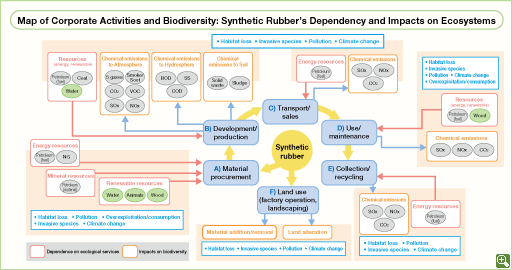 Map of Corporate Activities and Biodiversity: Synthetic Rubber's Dependency and Impacts on Ecosystems