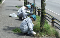 A group clean-up around the Yokkaichi Plant