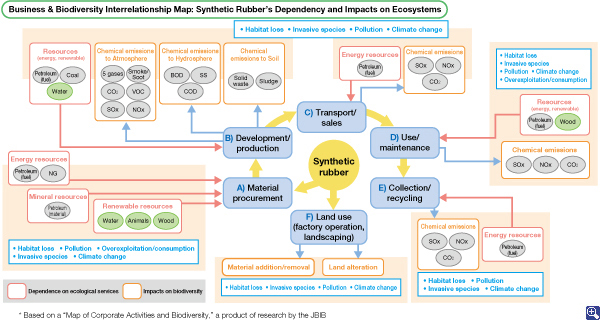 Business & Biodiversity Interrelationship Map (synthetic rubbers) (Larger view is available in the online version of the CSR Report.)