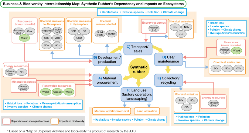 Business & Biodiversity Interrelationship Map: Synthetic Rubber's Dependency and Impacts on Ecosystems