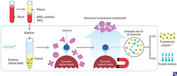 Exosome isolation using ExoCap