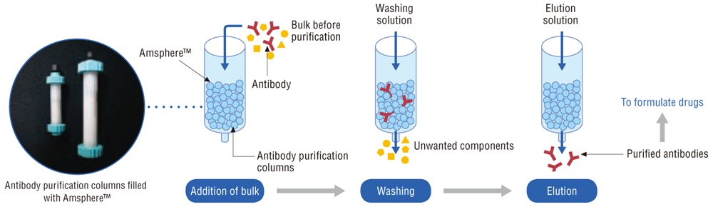 Antibody purification using Amsphere