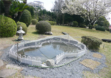 The pond in the green space in the plant site