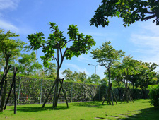 Tree planting at JSR Micro Taiwan Co., Ltd.