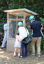 Observation of beetles in the beetle house in the Relaxation Garden