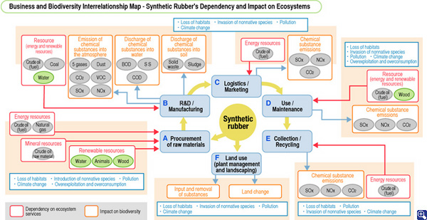Business and Biodiversity Interrelationship Map - Synthetic Rubber's Dependency and Impact on Ecosystems