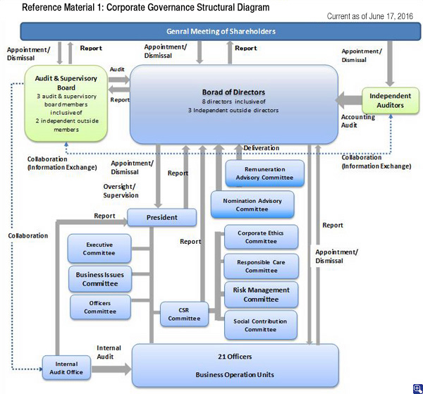 Corporate Governance Structural Diagram