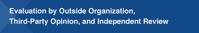 Evaluation by Outside Organization, Third-Party Opinion, and Independent Review