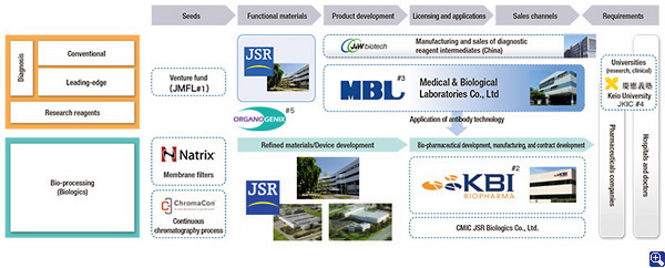 Structure of initiatives in the Life Sciences Business