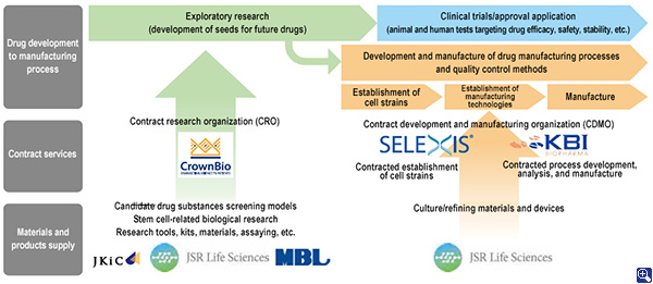 The Structure of JSR Group's Life Sciences Business