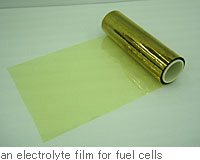 an electrolyte film for fuel cells