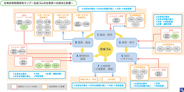 生物多様性関係性マップ