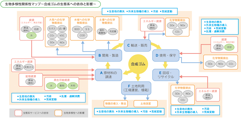 生物多様性関係性マップ