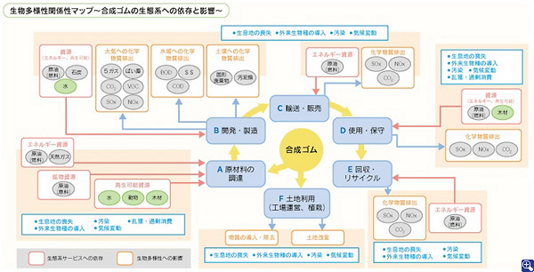 図１．生物多様性関係性マップ（合成ゴムのケース）