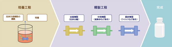 2015年度の活動