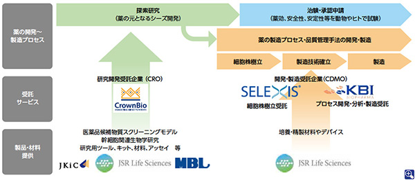 JSRグループのライフサイエンス事業の体制