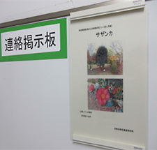 生物多様性推進事務局掲示板「この時期の花」による啓発活動