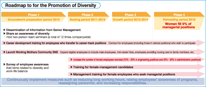 Roadmap to for the Promotion of Diversity