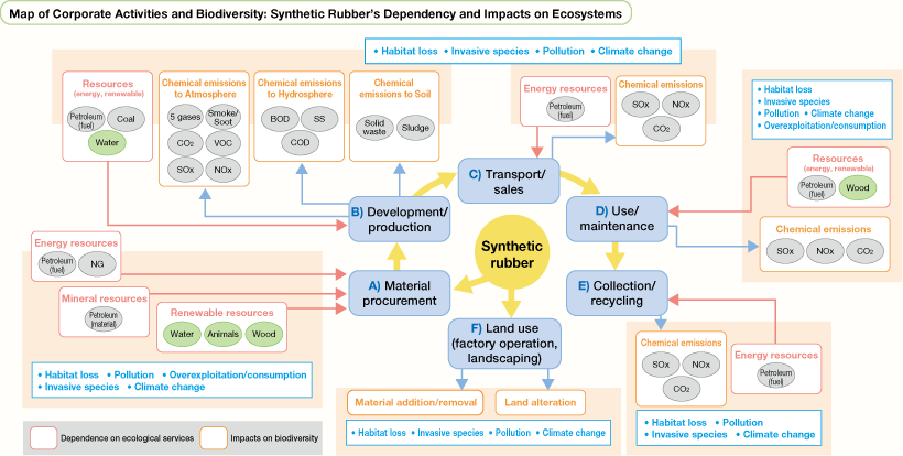 Map of Corporate Activities and Biodiversity: Synthetic Rubberfs Dependency and Impacts on Ecosystems