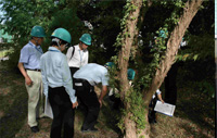 Greenery assessment at Chiba Plant