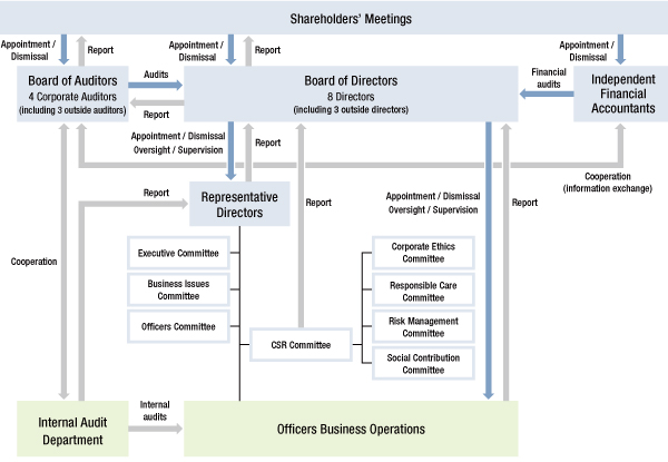 Corporate Governance Structural Diagram