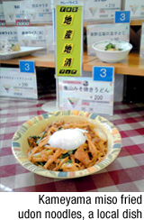 Kameyama miso fried udon noodles, a local dish