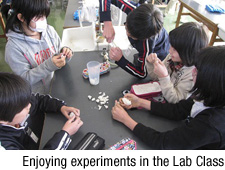 Enjoying experiments in the Lab Class