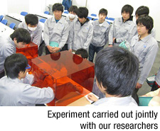 Experiment carried out jointly with our researchers