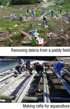 Removing debris from a paddy field, Making rafts for aquaculture