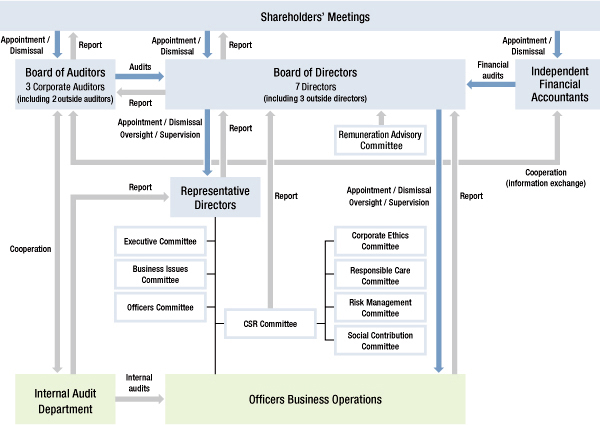 Corporate Governance Structural Diagram