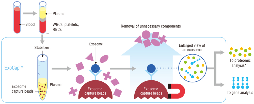 Exosome isolation using ExoCap