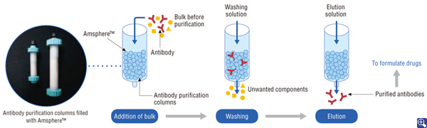 Antibody purification using Amsphere