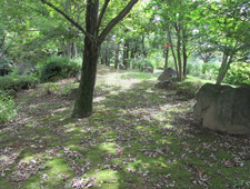 Tsukuba Research Laboratories’ biodiversity priority area