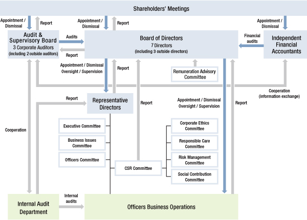 Corporate Governance Structural Diagram