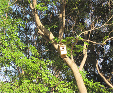 Birdhouses in the 'Ikioi no Hiroba' green space