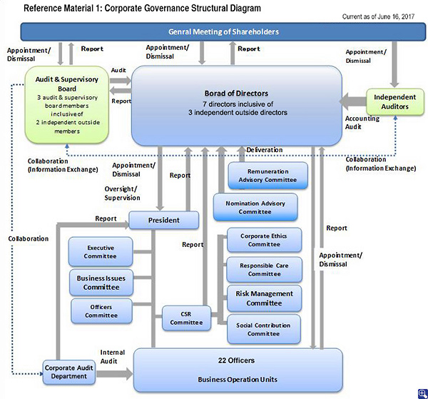 Corporate Governance Structural Diagram