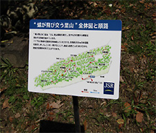 A sign explaining the plants and animals living in a green space