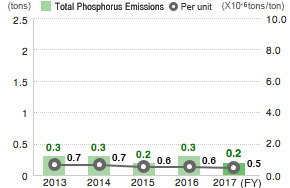 Phosphorus Emissions (Domestic Group Companies)