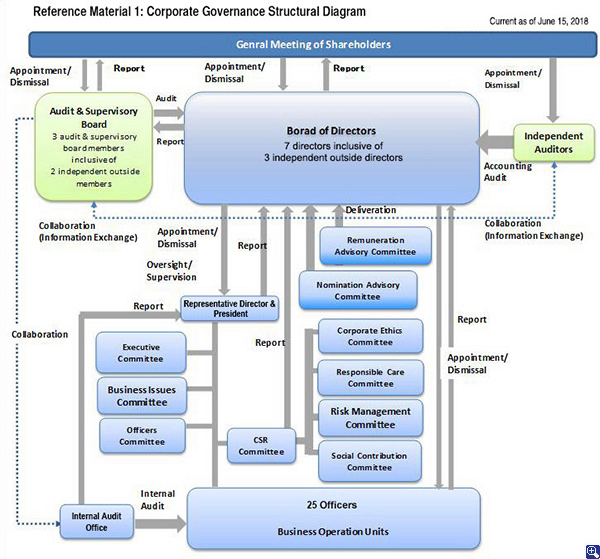 Corporate Governance Structural Diagram