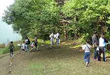 Nature tour for employees’ families led by the curator of a local museum