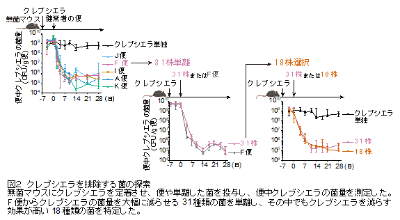 画像2.png