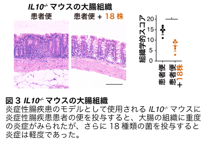 画像3.png