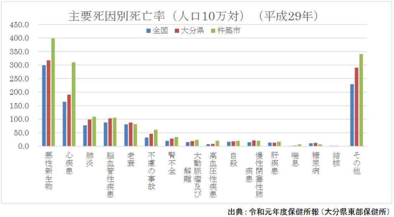 主要死因別死亡率平成29年.JPG