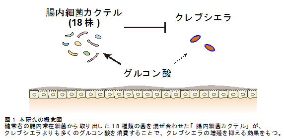 画像1.png