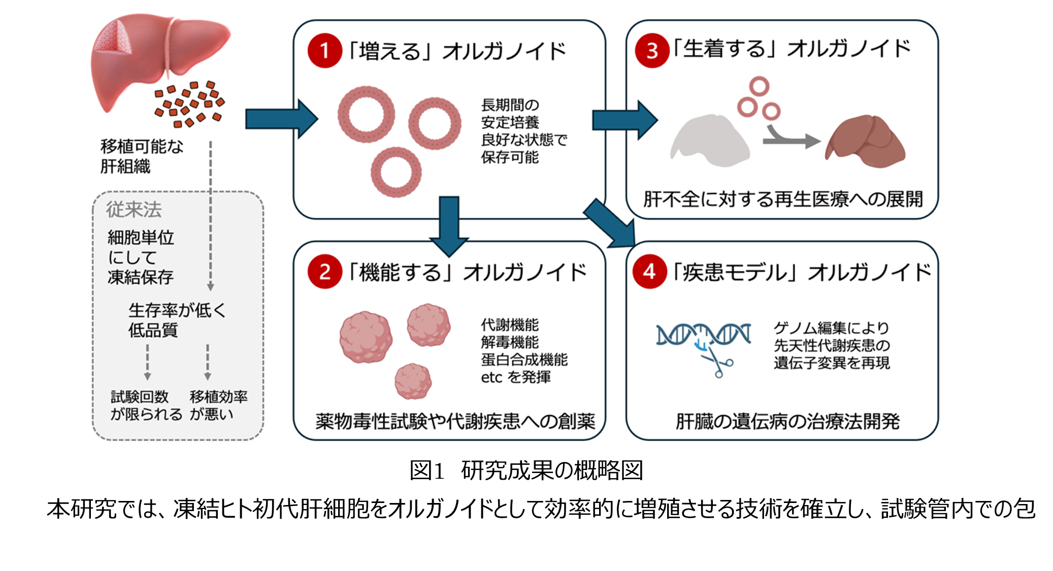 画像1.png