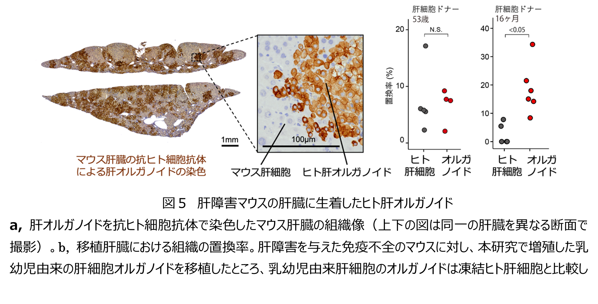 画像5.png