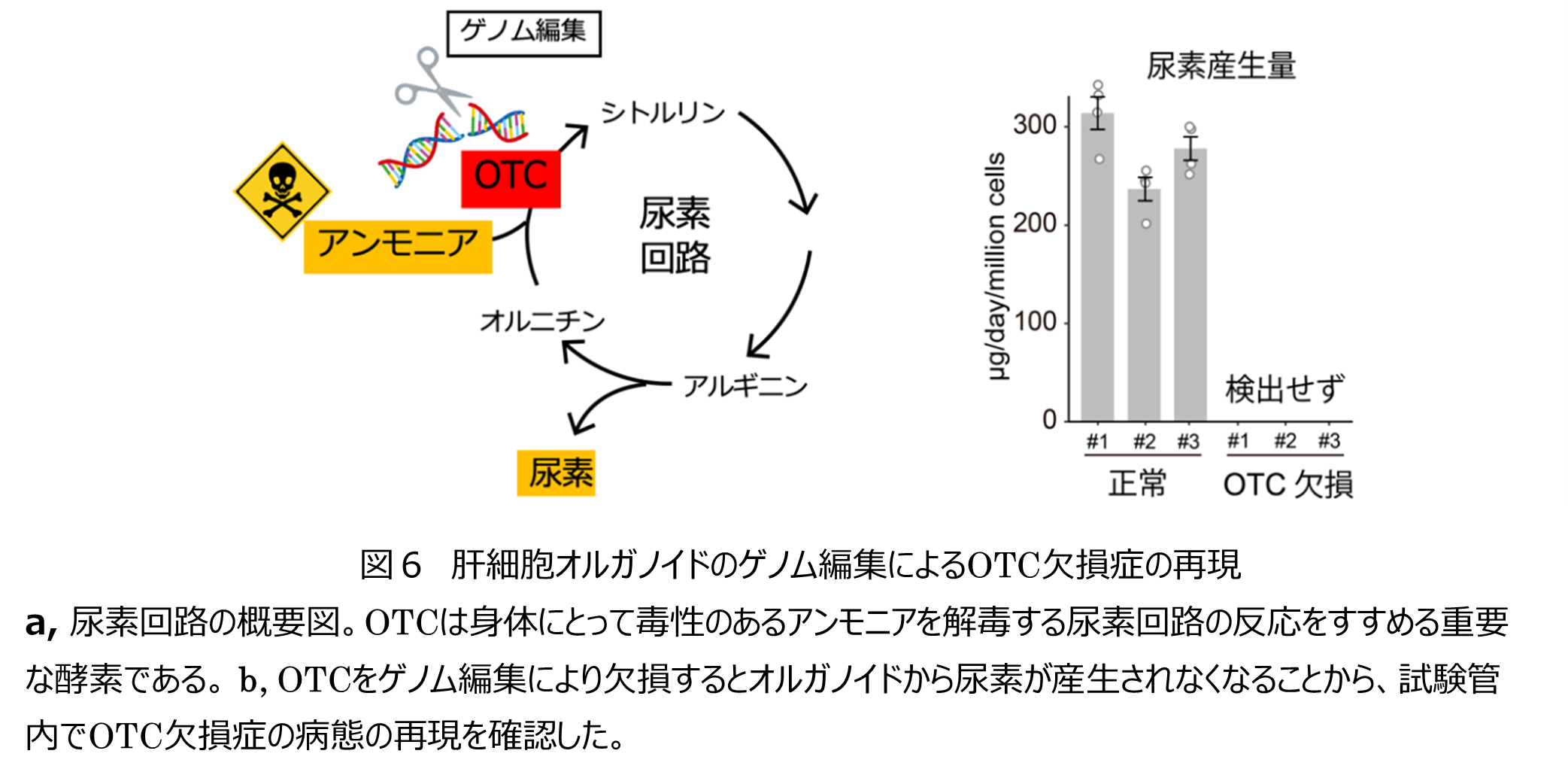 画像6.png